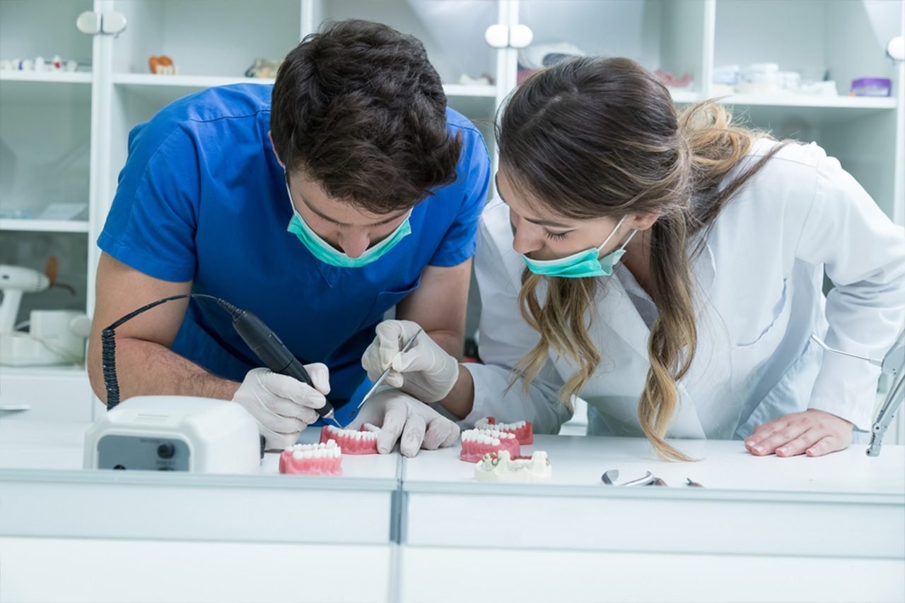 Dentists working on a dental model
